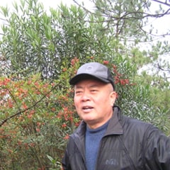 尼格木圖