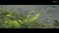 青海花兒 楊全旭 天河口上鵲架的橋