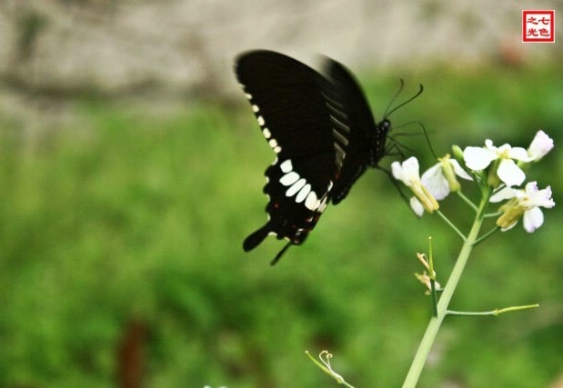http://www.omega3-ala.com/pics/default/download/5deb8cf3b890c09b6b17eaa5a264412f.jpg