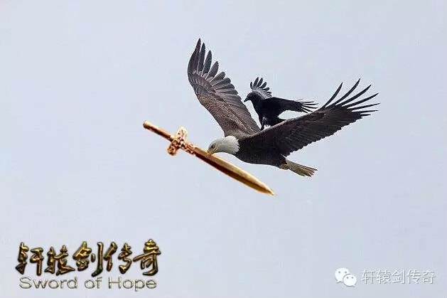 http://www.omega3-ala.com/pics/default/download/5e664c1fd297097365f4c745daedec30.jpg