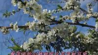 山楂樹之戀M(fèi)V-中文版薛長(zhǎng)祿上傳2016-11-30_標(biāo)清