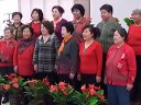 三路居開心歌友紅歌會《眾手澆開幸福花》