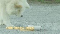 預告片