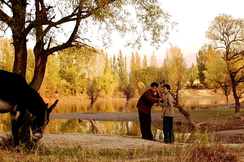 http://www.omega3-ala.com/pics/default/download/6071a6a50d1748f646201e9df5989b03.jpg