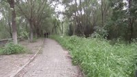 《風再起時》罪犯交易偏僻地 美女游玩遇險境