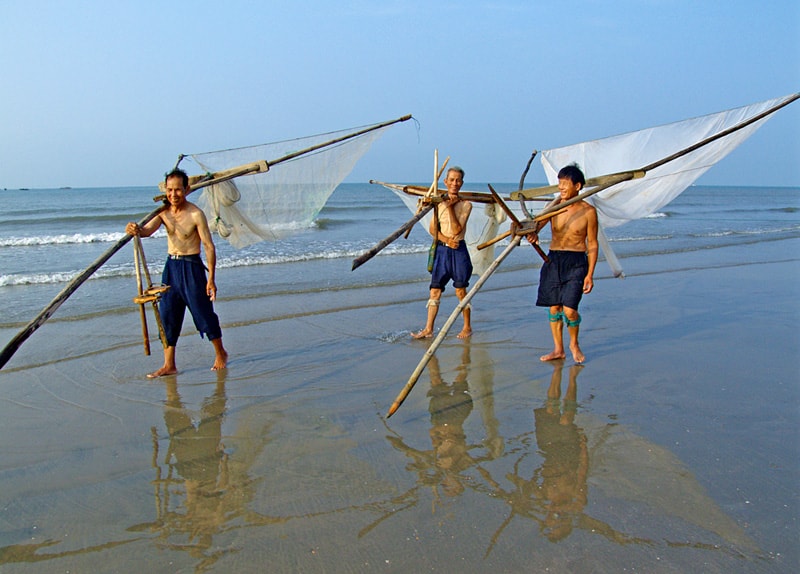 http://www.omega3-ala.com/pics/default/download/6160b9c6a10830355e078fa8a320d2dc.jpg