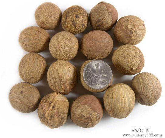 http://www.omega3-ala.com/pics/default/download/627e959823407cdf8921a5bde1d785fd.jpg