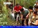 兩年時(shí)間為紫金山植物“查戶口”