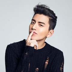 王大陸?