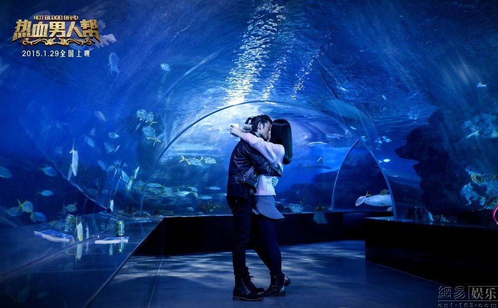http://www.omega3-ala.com/pics/default/download/64b17f07273c79cd71fcfcd0f16c396e.jpg