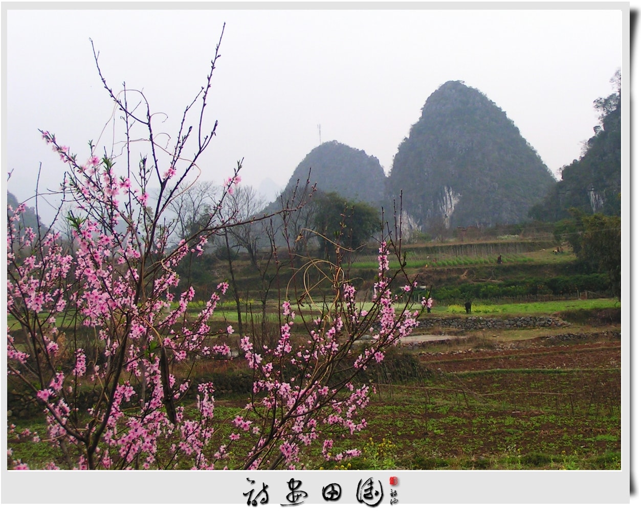 http://www.omega3-ala.com/pics/default/download/651a99aa891b040c0d680e2caebe4c39.jpg