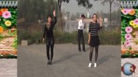 新概念廣場舞【越跳越美】字幕；演示；張麗麗，野丫頭