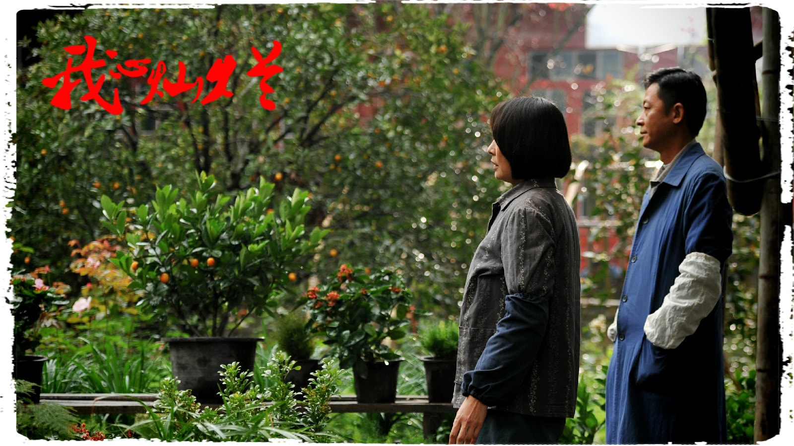 http://www.omega3-ala.com/pics/default/download/668a8304a568be0df5963c02435ee245.jpg