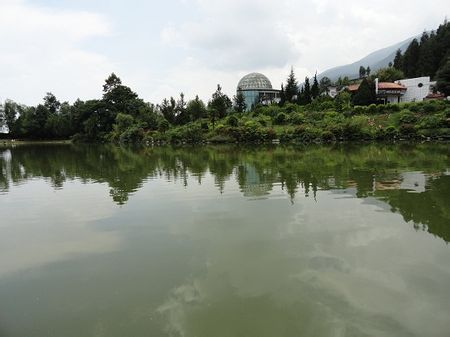 http://www.omega3-ala.com/pics/default/download/66e1622f53450e79c67d1e3580bc442c.jpg