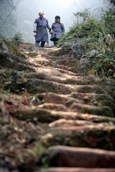 http://www.omega3-ala.com/pics/default/download/66e3227115d4d1329ce8672a74b45e96.jpg