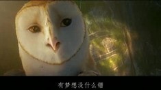 中文版預(yù)告片