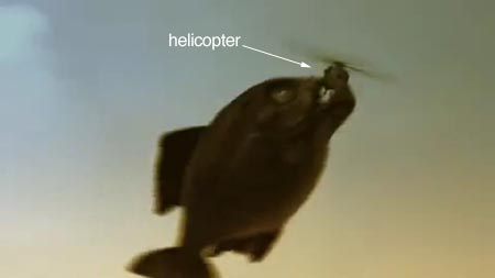 http://www.omega3-ala.com/pics/default/download/67d294a561a490338e0e9d4deecaba09.jpg