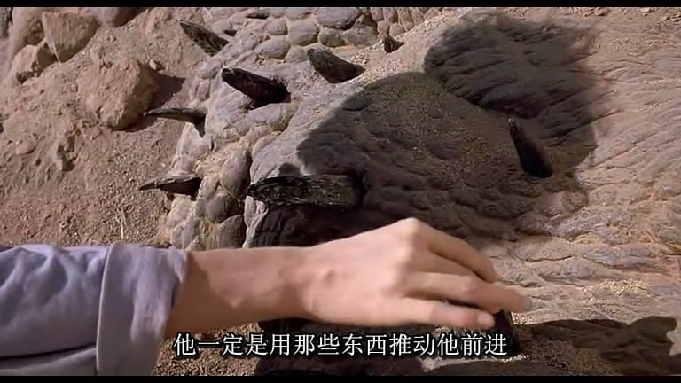 http://www.omega3-ala.com/pics/default/download/67d52445dc37fb179b4a7ae77ee19fbf.jpg