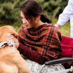 呂一丹?