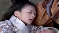 鳳凰牡丹1