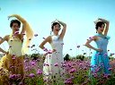 《因為有愛》愛在春天彩虹女郎
