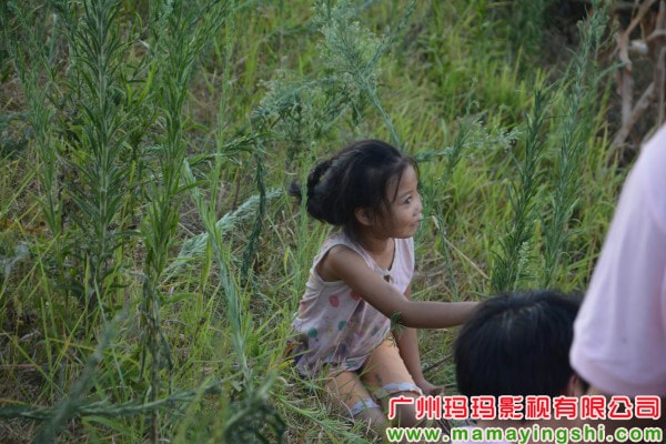 http://www.omega3-ala.com/pics/default/download/686ce3d6f17842052d97788f9f3a76b6.jpg