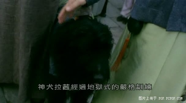 http://www.omega3-ala.com/pics/default/download/68b4d93f89a27ee1761afa1000fba0ba.jpg