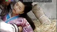 劍行天下28——花如夢_標清