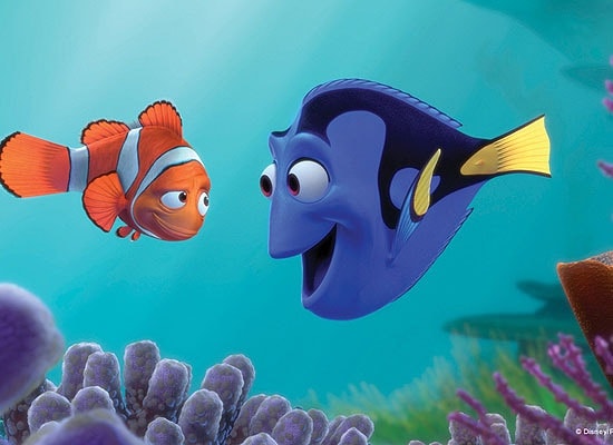 http://www.omega3-ala.com/pics/default/download/68ff628913850fee619aa7dd9d312e12.jpg