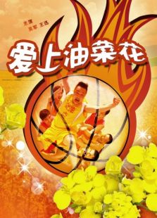 愛上油菜花