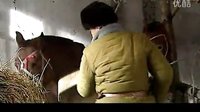 兵團(tuán)歲月 23 喂馬