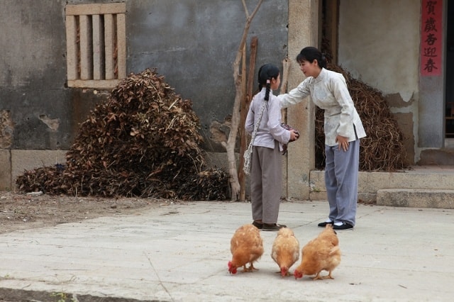 http://www.omega3-ala.com/pics/default/download/699ff5e5d981364f7e45622c85a8fffe.jpg