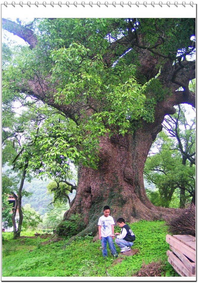 http://www.omega3-ala.com/pics/default/download/6a36a7c0b217607a2b18e3b6e1ec8865.jpg
