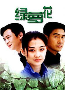 綠蘿花