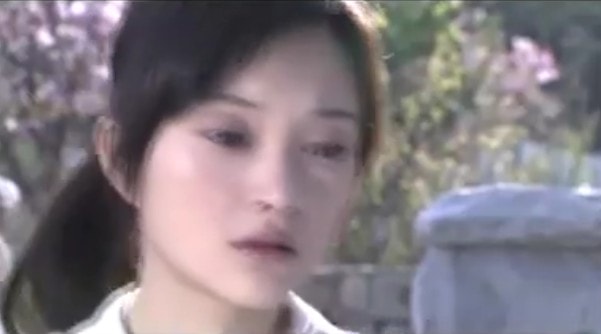 《第一種危機》劇照二