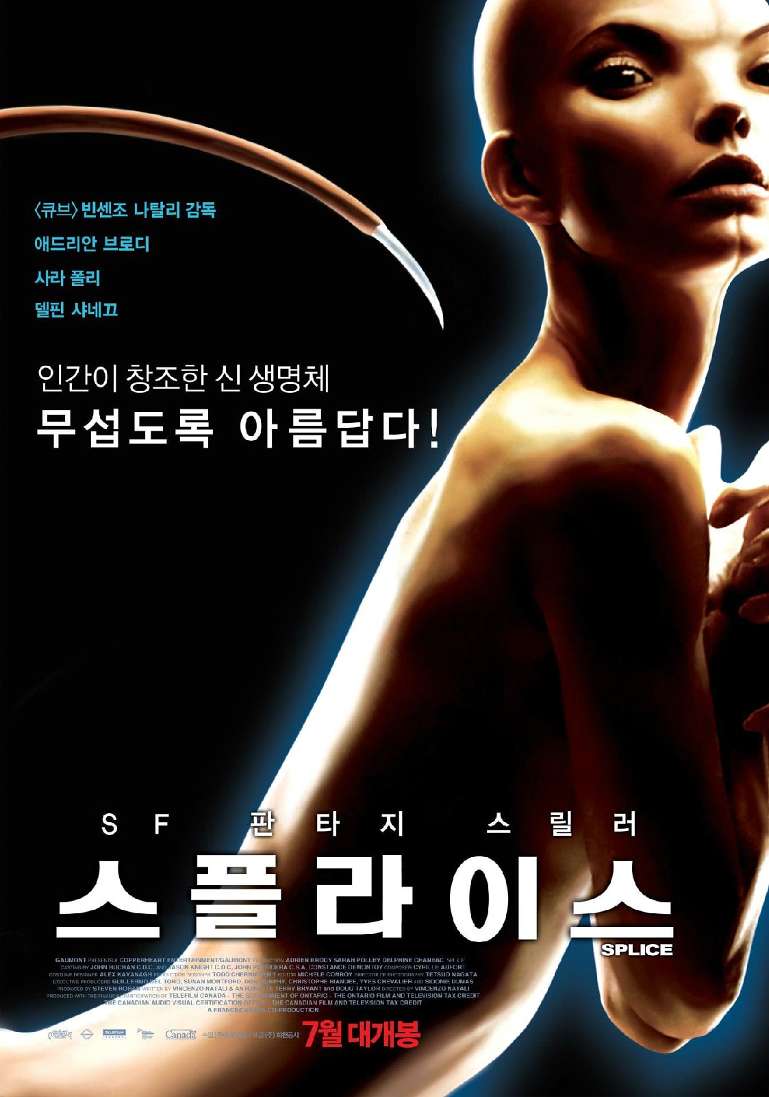 http://www.omega3-ala.com/pics/default/download/6c0cc6a591db11de4d5f23bb5cfd8e9e.jpg