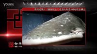 系列紀錄片《捕魚戰士》在澳大利亞SBS電視臺播出