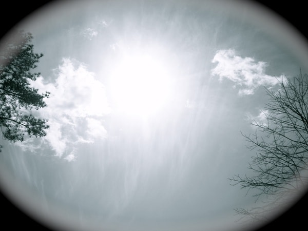 http://www.omega3-ala.com/pics/default/download/6c82bfe4933b02536d6a4ca6150339ce.jpg