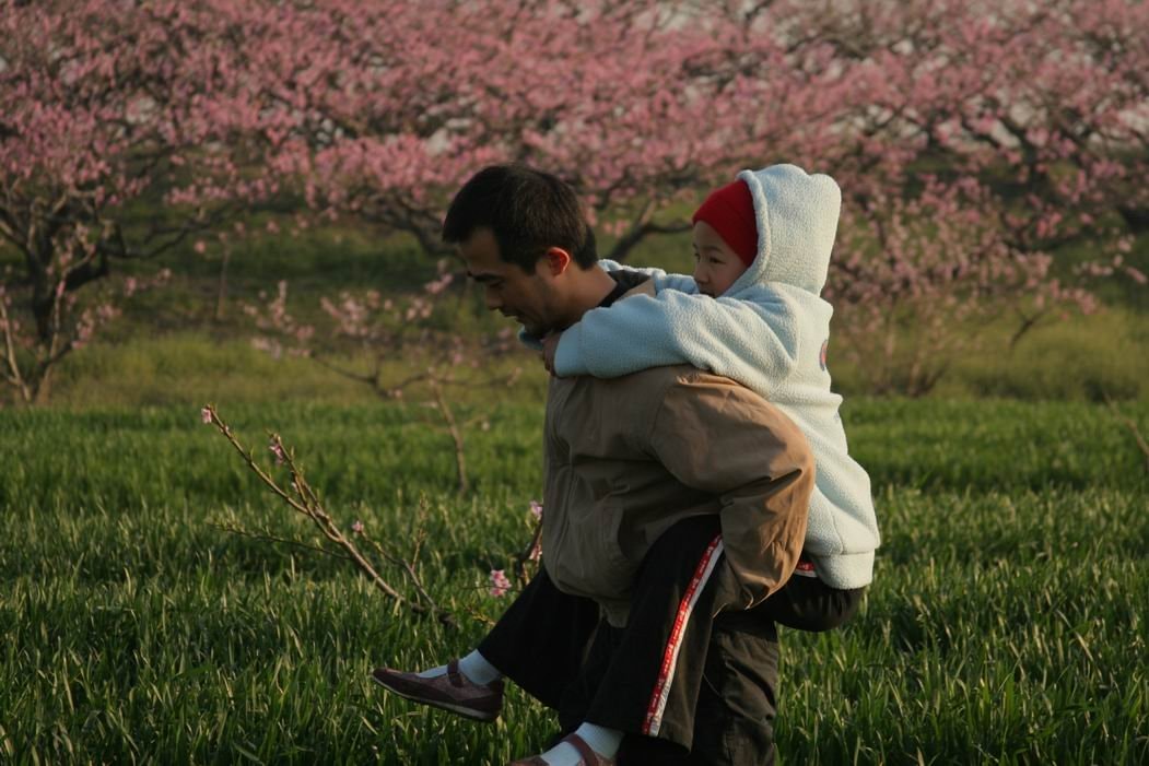 http://www.omega3-ala.com/pics/default/download/6ce9a8a0afd67a431eb0985cf5ee06cc.jpg