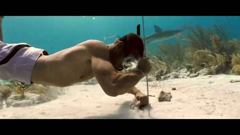 http://www.omega3-ala.com/pics/default/download/6cf1d5269bbcdafa1cfc3da7c96d8a7a.jpg