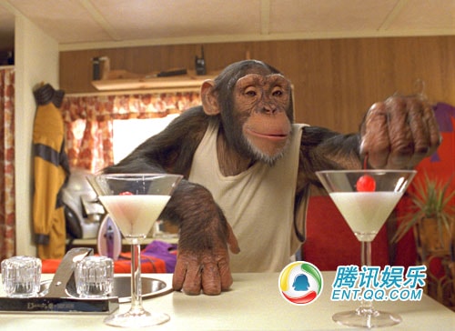 http://www.omega3-ala.com/pics/default/download/6d199ee507865e325c85b734ce9df216.jpg