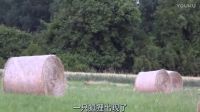 第九十集 捷克妹子獵狐者_(dá)標(biāo)清