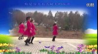 代萍廣場舞花兒妹妹（編舞代萍）雙人對跳。正反面分解_標清