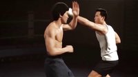 武之夢(李振藩VS甄子丹)