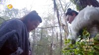 山海經之赤影傳說 TV版 《山海經之赤影傳說》親情的巨輪不沉不翻 小冰不顧性命解救百里寒