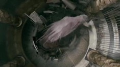 電視宣傳片