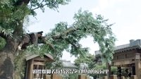 劇能扯 放膽噴 2015 《秦時明月》現代臺詞太跳戲 蔣勁夫化身自high王狂喊:我很帥