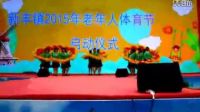 大豐萬眾村扇子舞中國美在荷蘭花海表演_標(biāo)清_flv_480x320_極高質(zhì)量