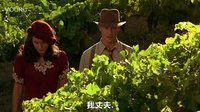 云中漫步.擋黑轉(zhuǎn)場