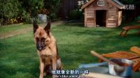 離家出走很久的狗狗突然出現在身后的那種感覺誰懂